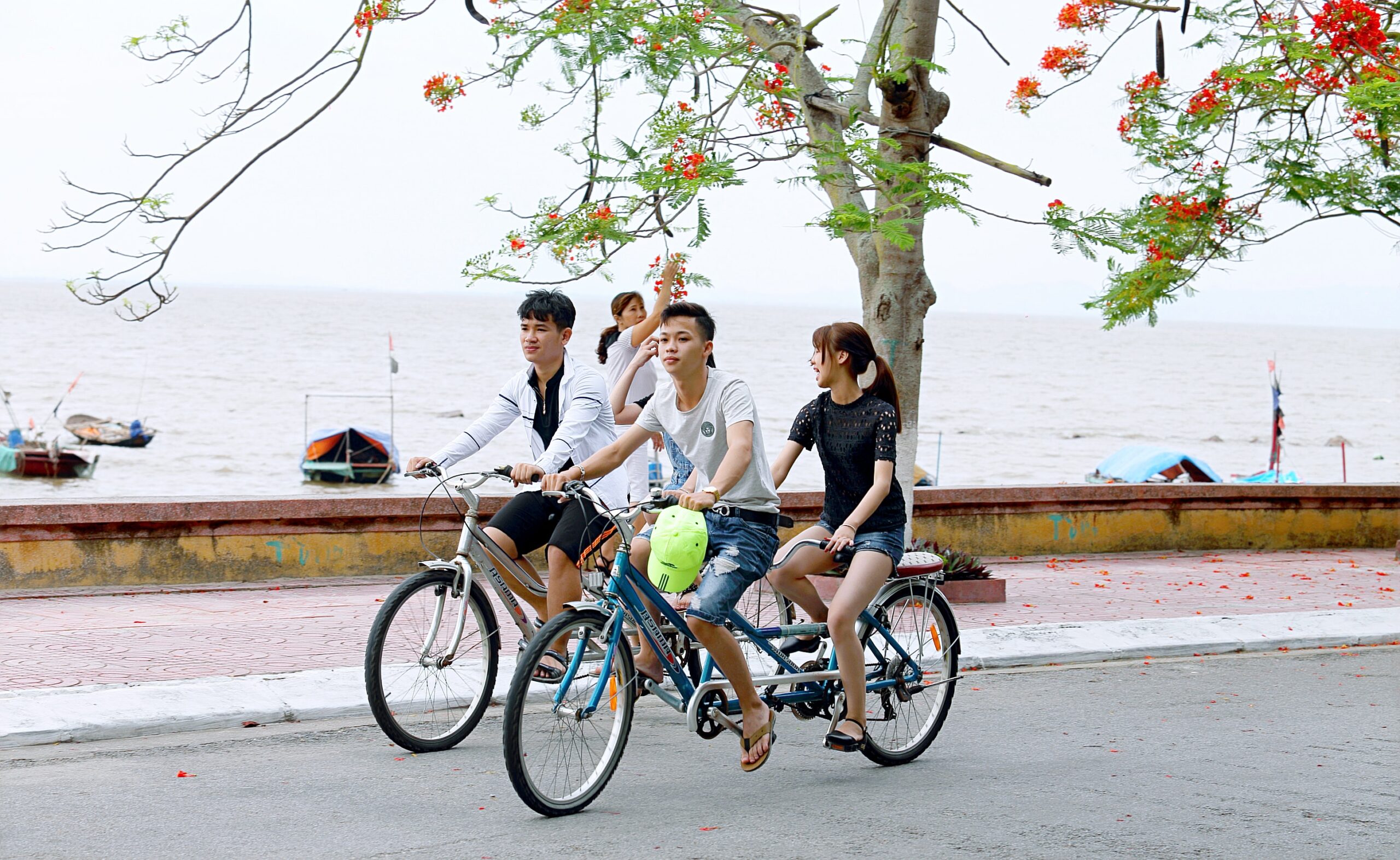 Få masser af motion – tag på cykeltur med hele familien